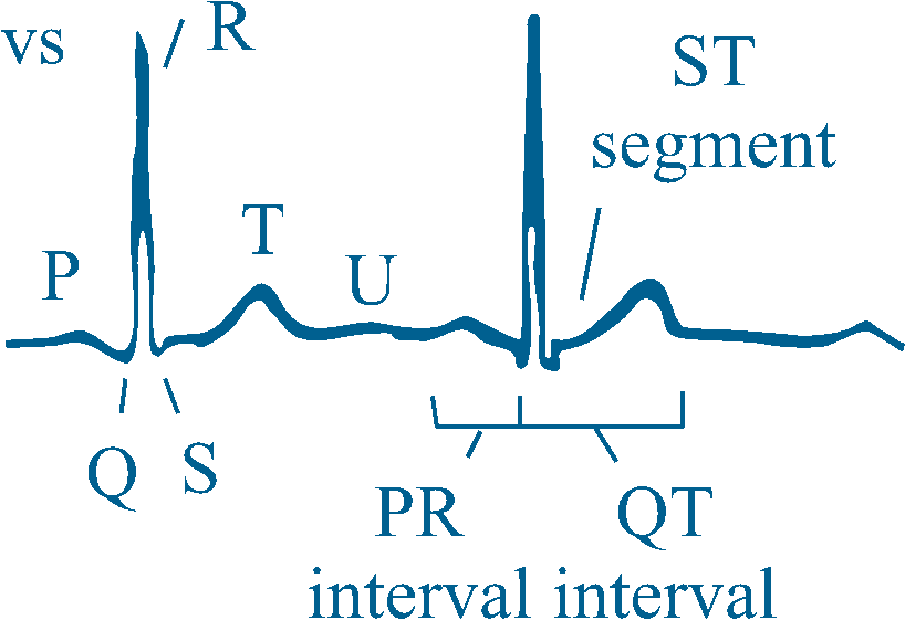 heart rate variability (HRV)
